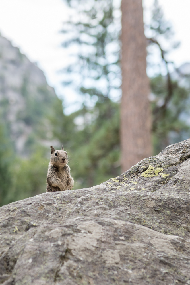 2016-8-21 - Road Trip - Yosemite - 0443