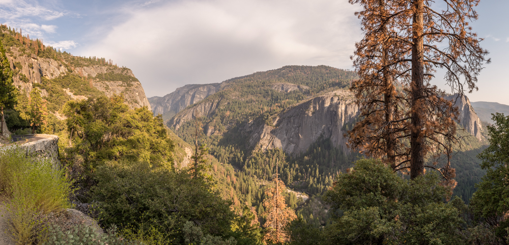 2016-8-21 - Road Trip - Yosemite - 0681-Pano